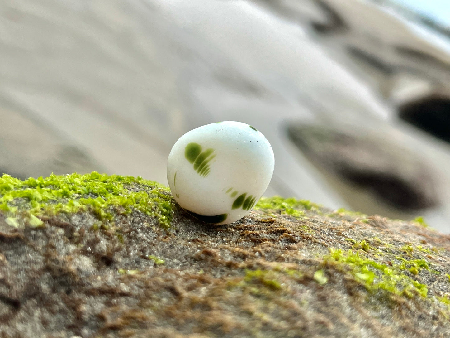 Classic Green & White Davenport