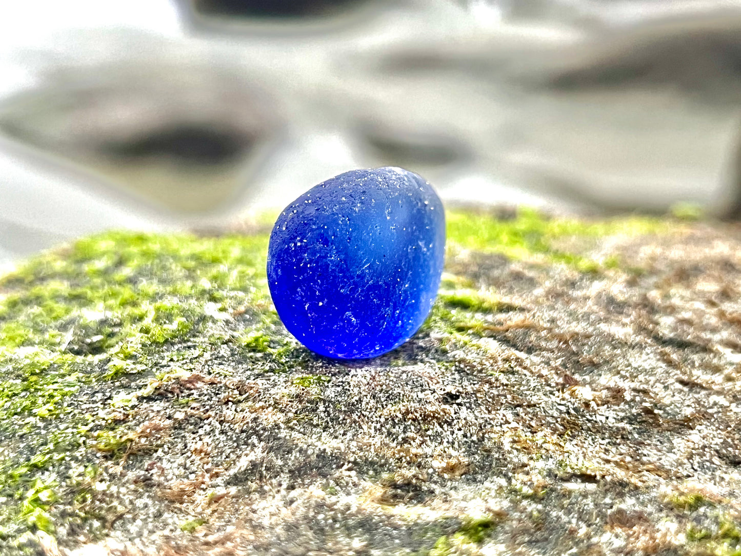 Cobalt Blue Multi- Potential Bottle Bottom