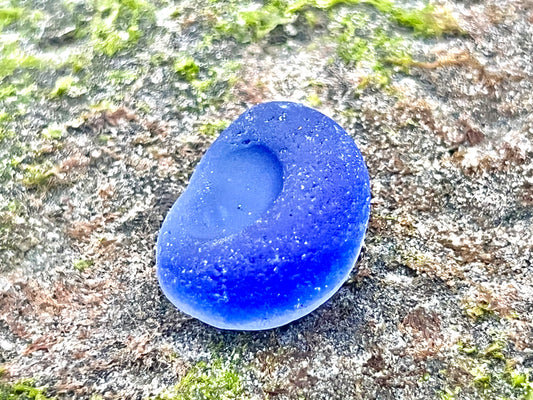Cobalt Blue Multi- Potential Bottle Bottom