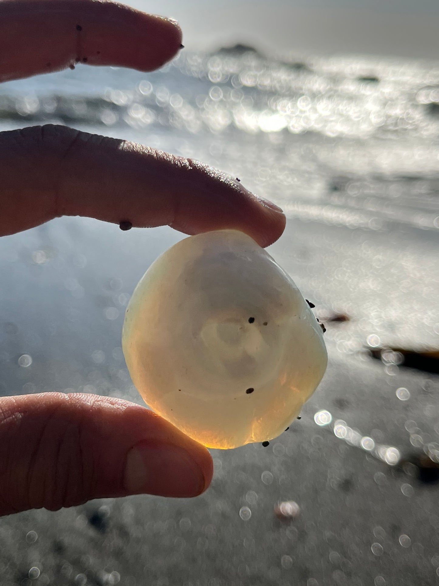 RARE- Opalescent Davenport Eyeball