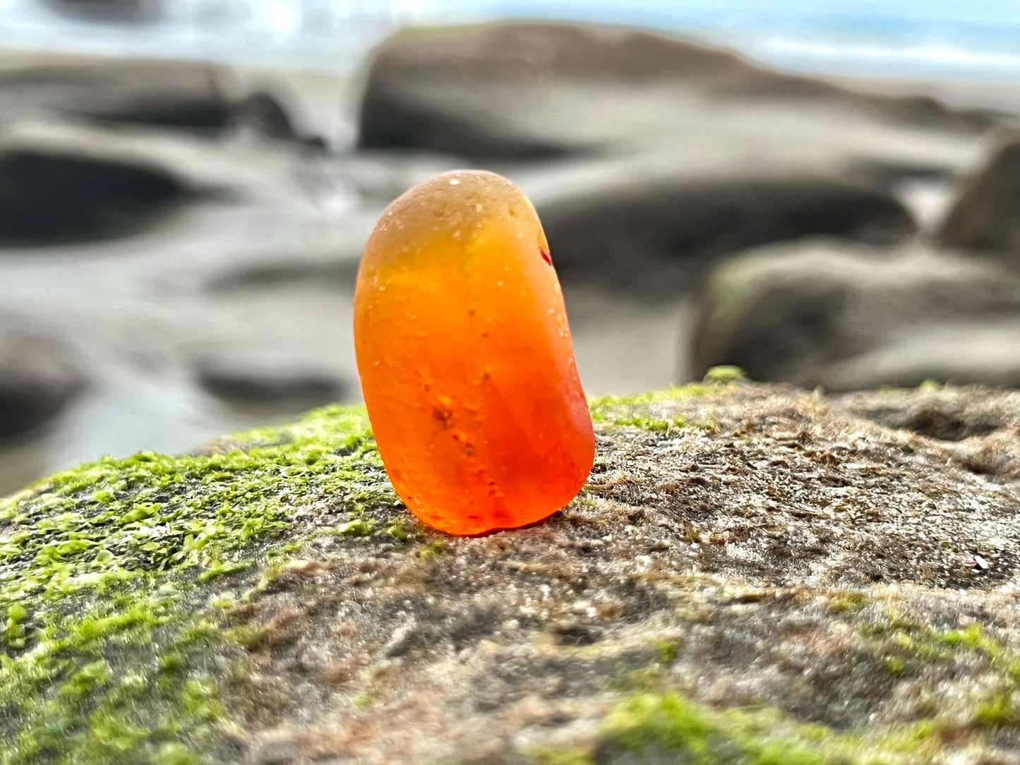 Insane Orange Multi
