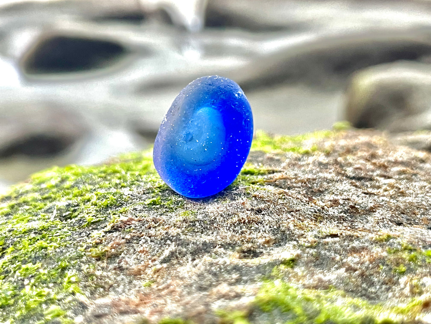 Cobalt Blue Multi- Potential Bottle Bottom