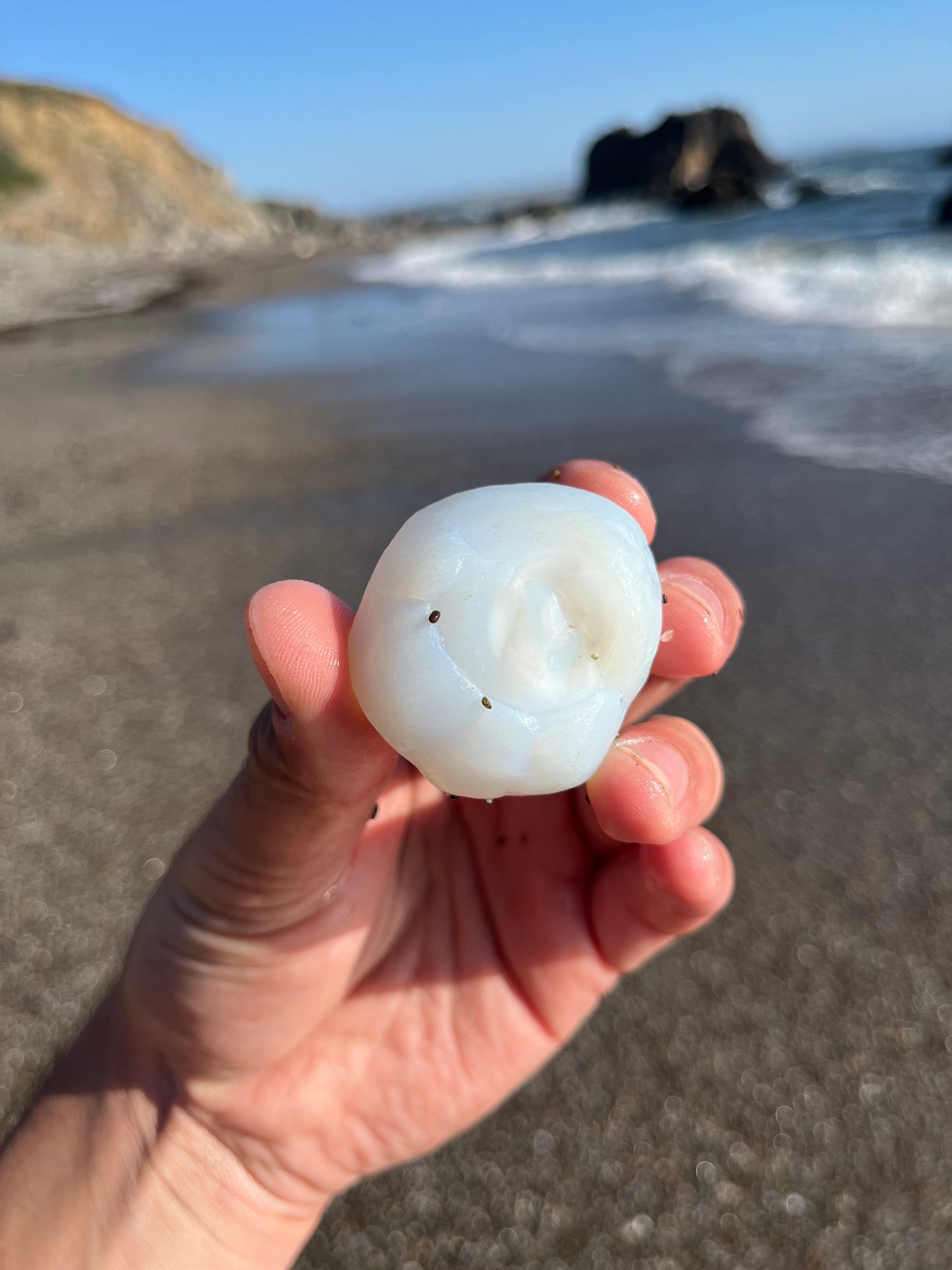 RARE- Opalescent Davenport Eyeball