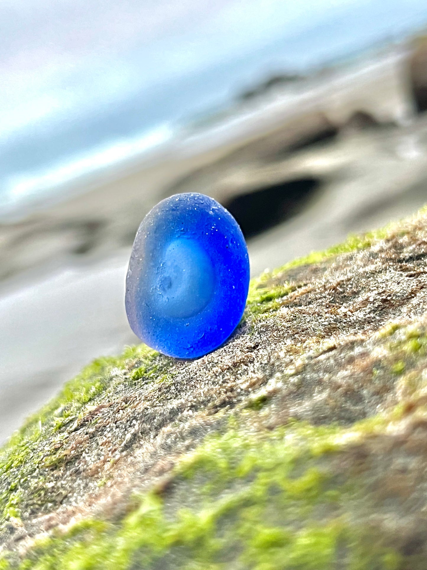 Cobalt Blue Multi- Potential Bottle Bottom