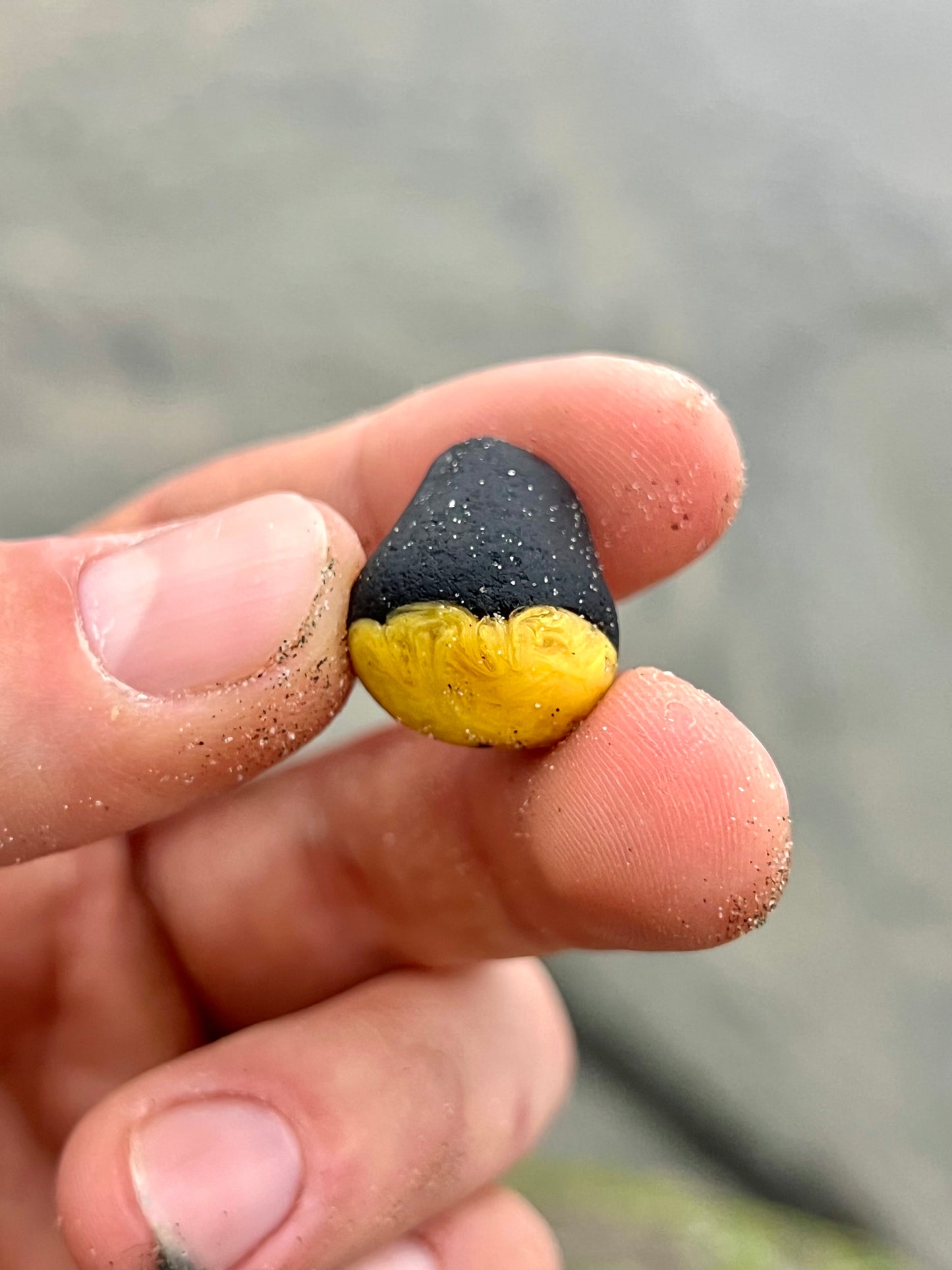 Black and Yellow “Bumblebee” multi