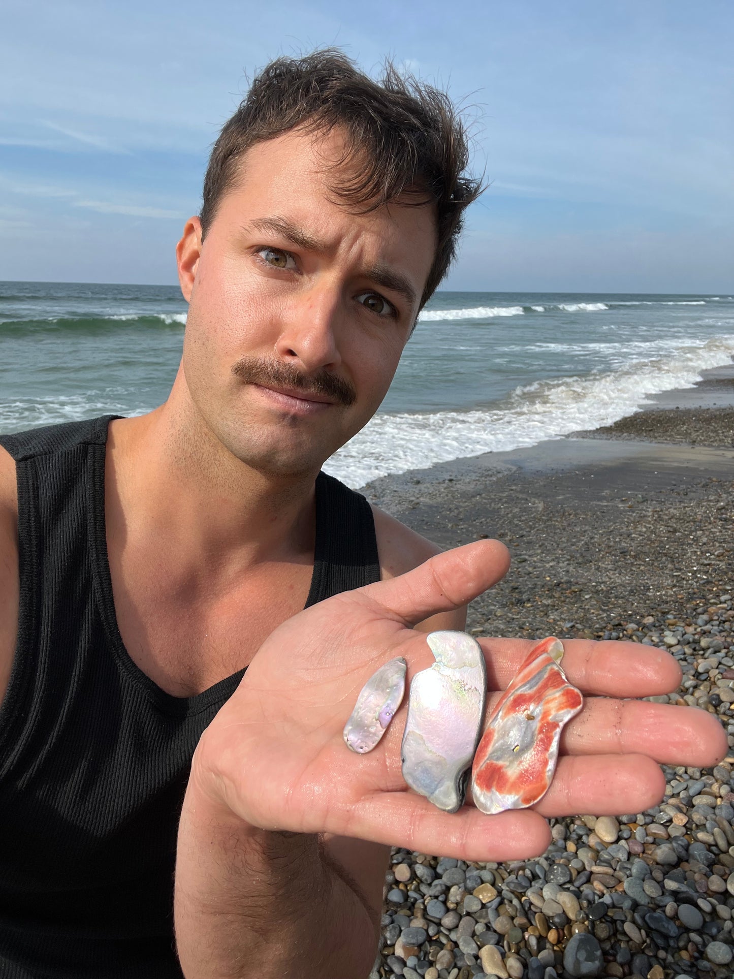 Three Medium Abalone fragments