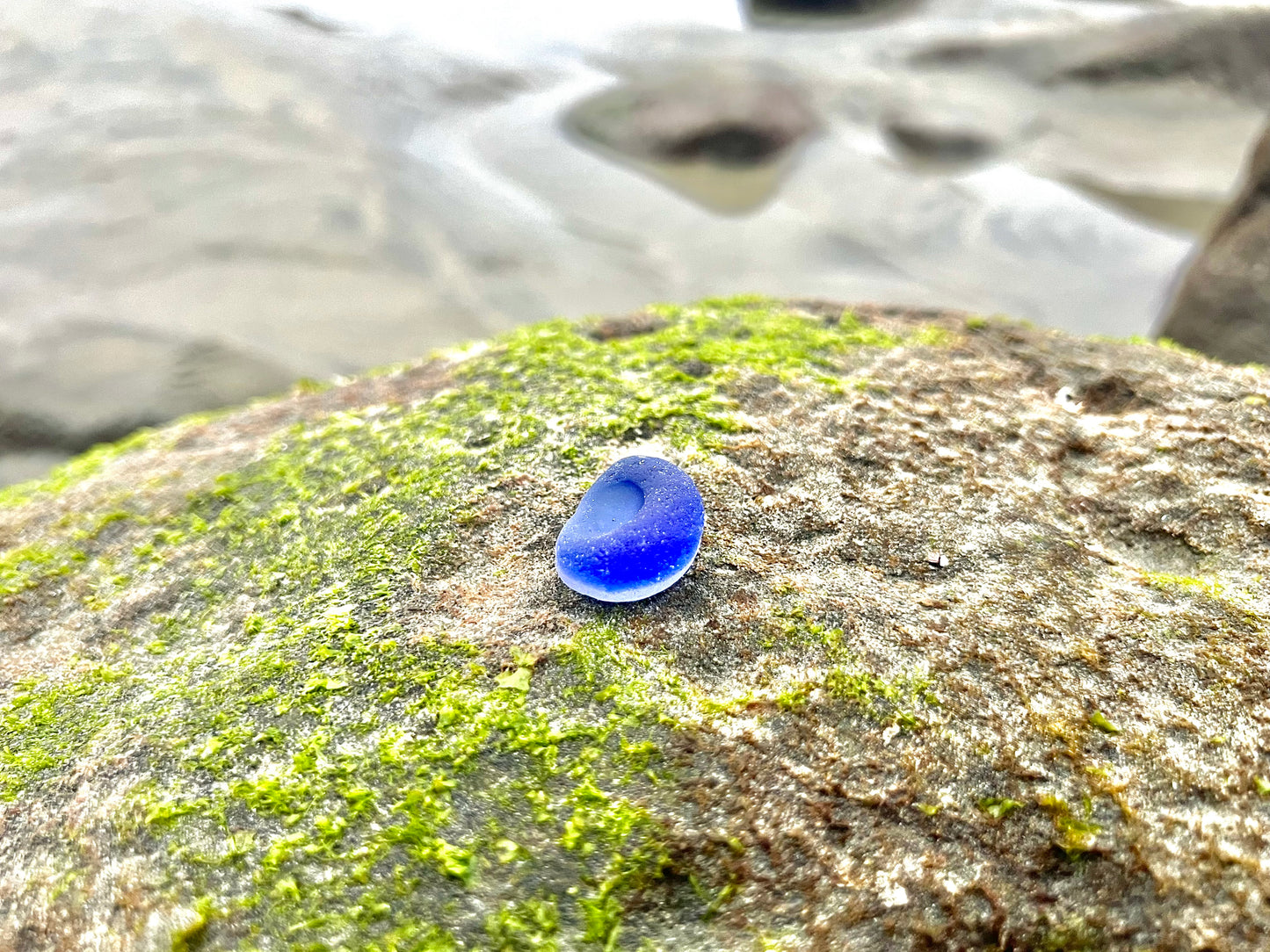 Cobalt Blue Multi- Potential Bottle Bottom