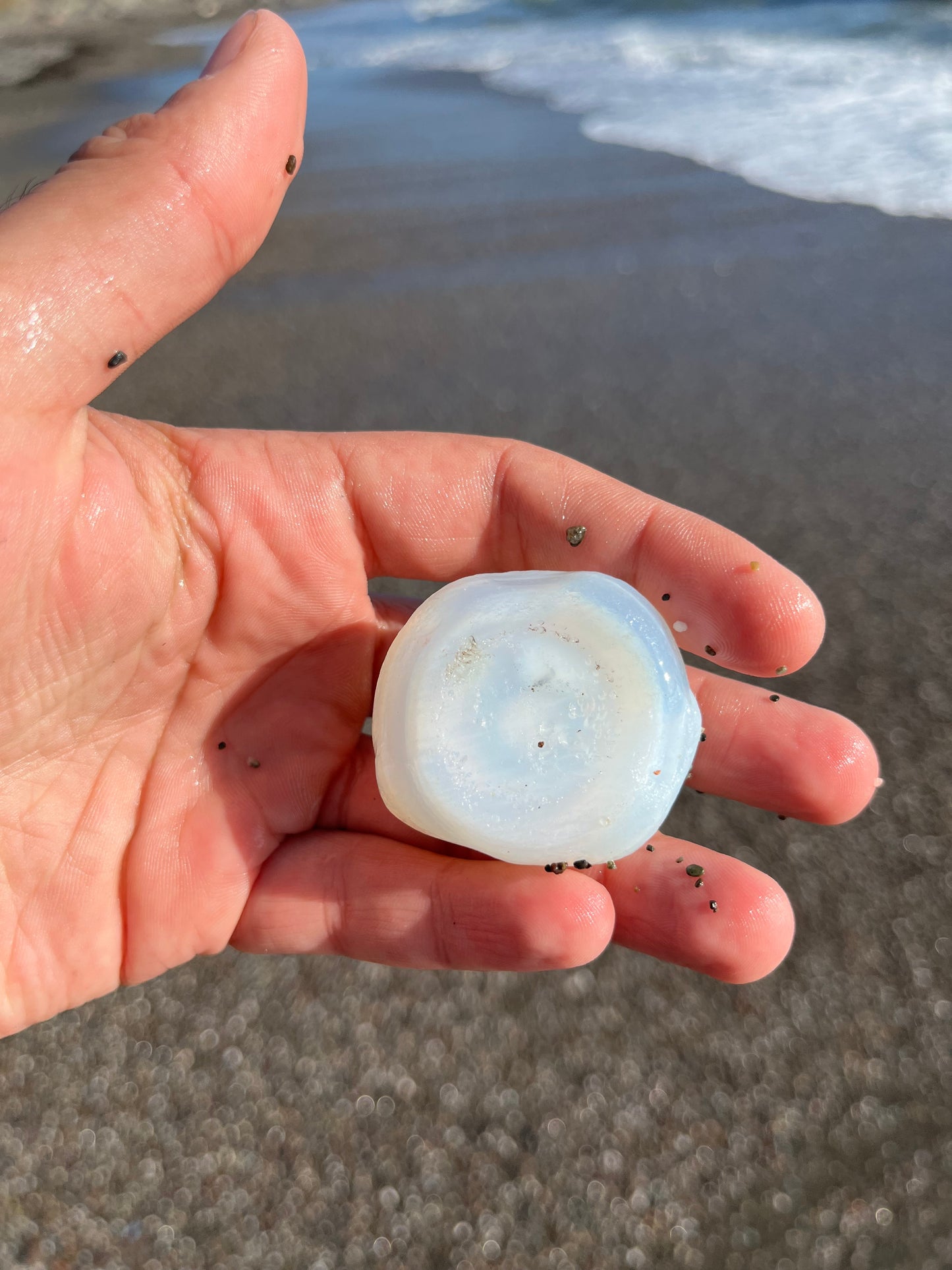 RARE- Opalescent Davenport Eyeball