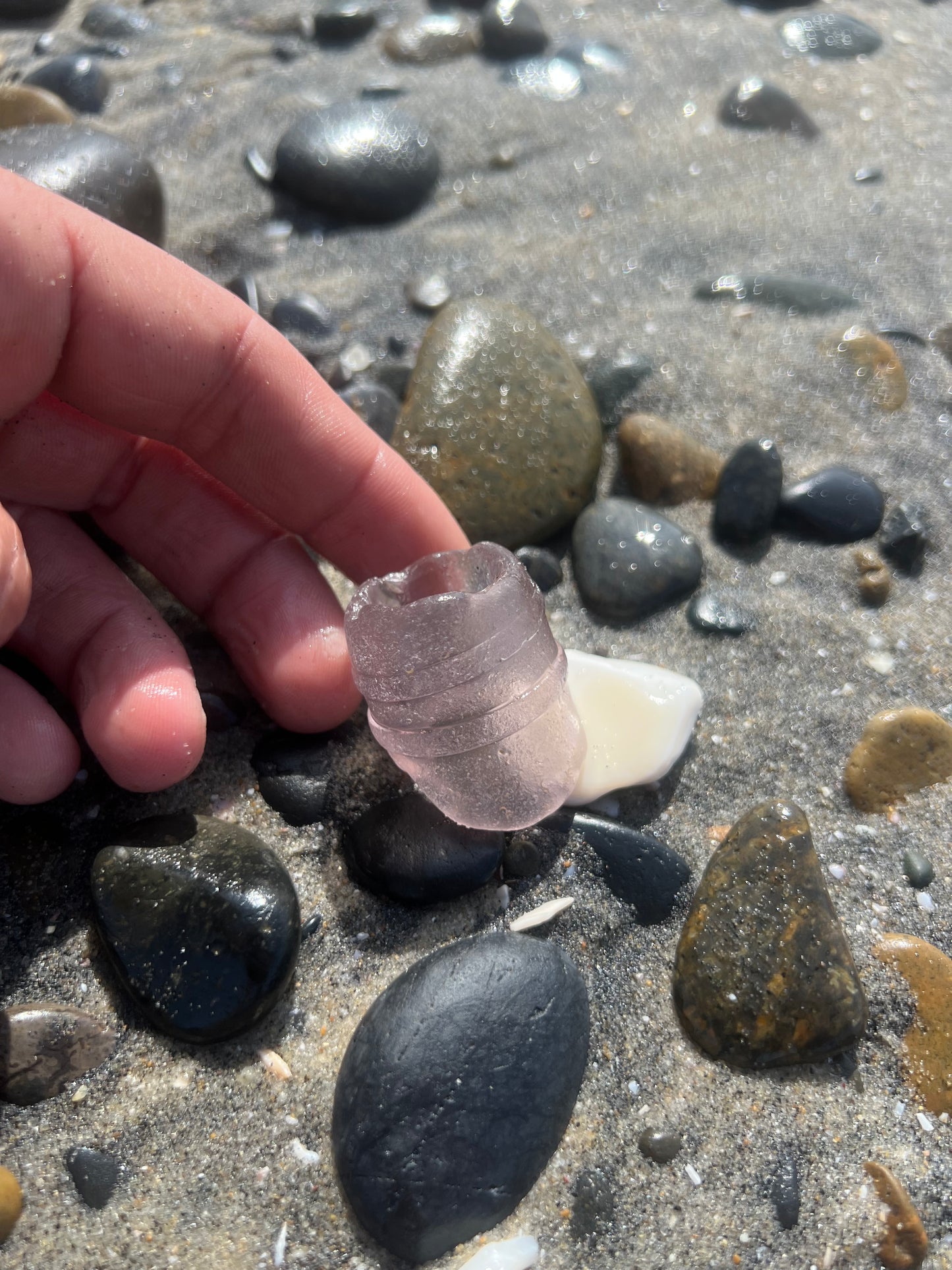 Lavender Bottle Neck