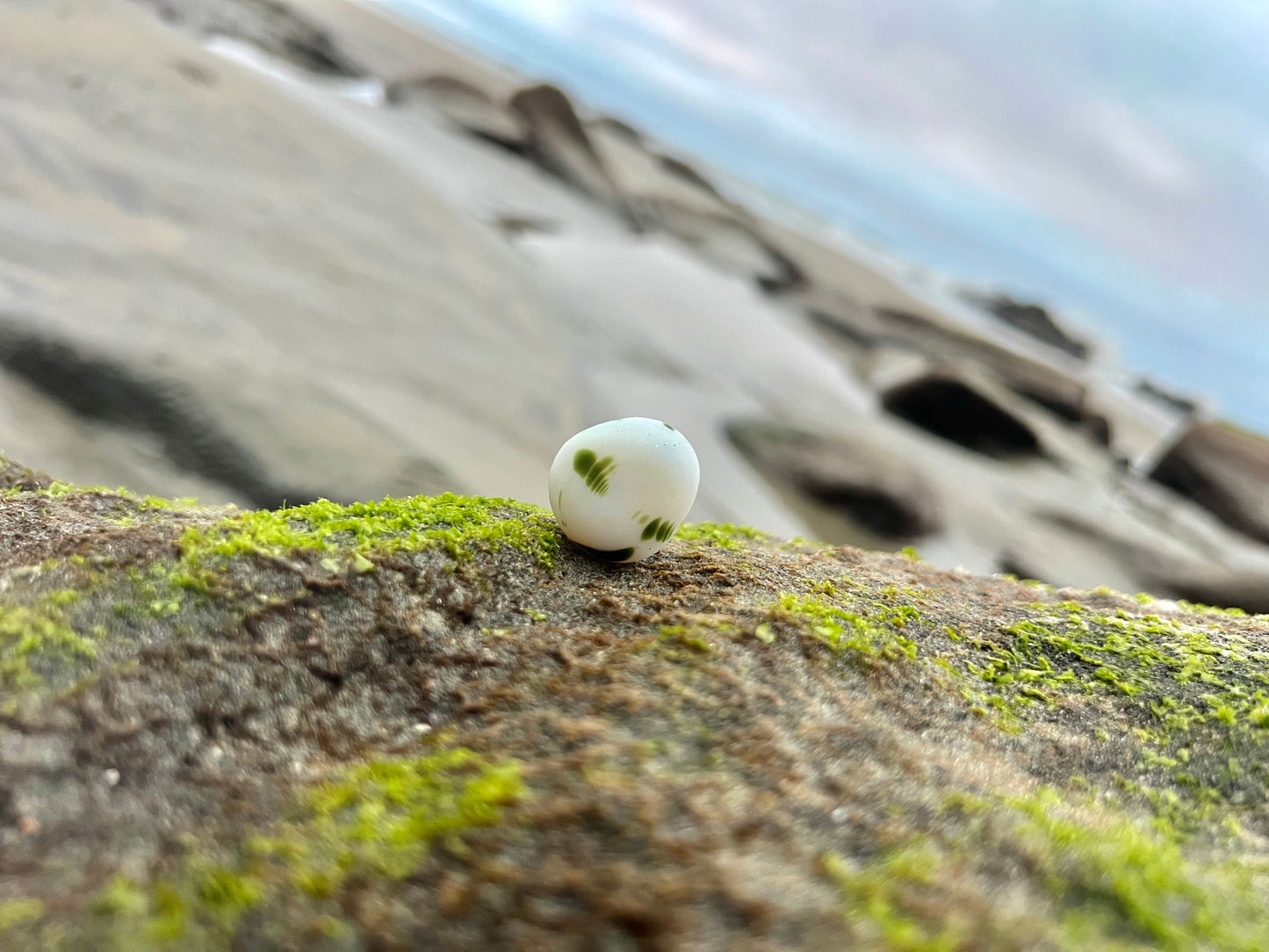 Classic Green & White Davenport