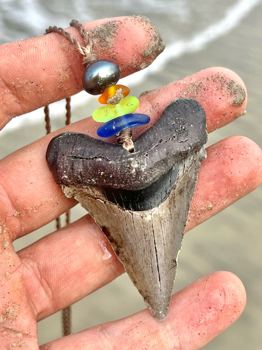 “Shark Attack” Necklace
