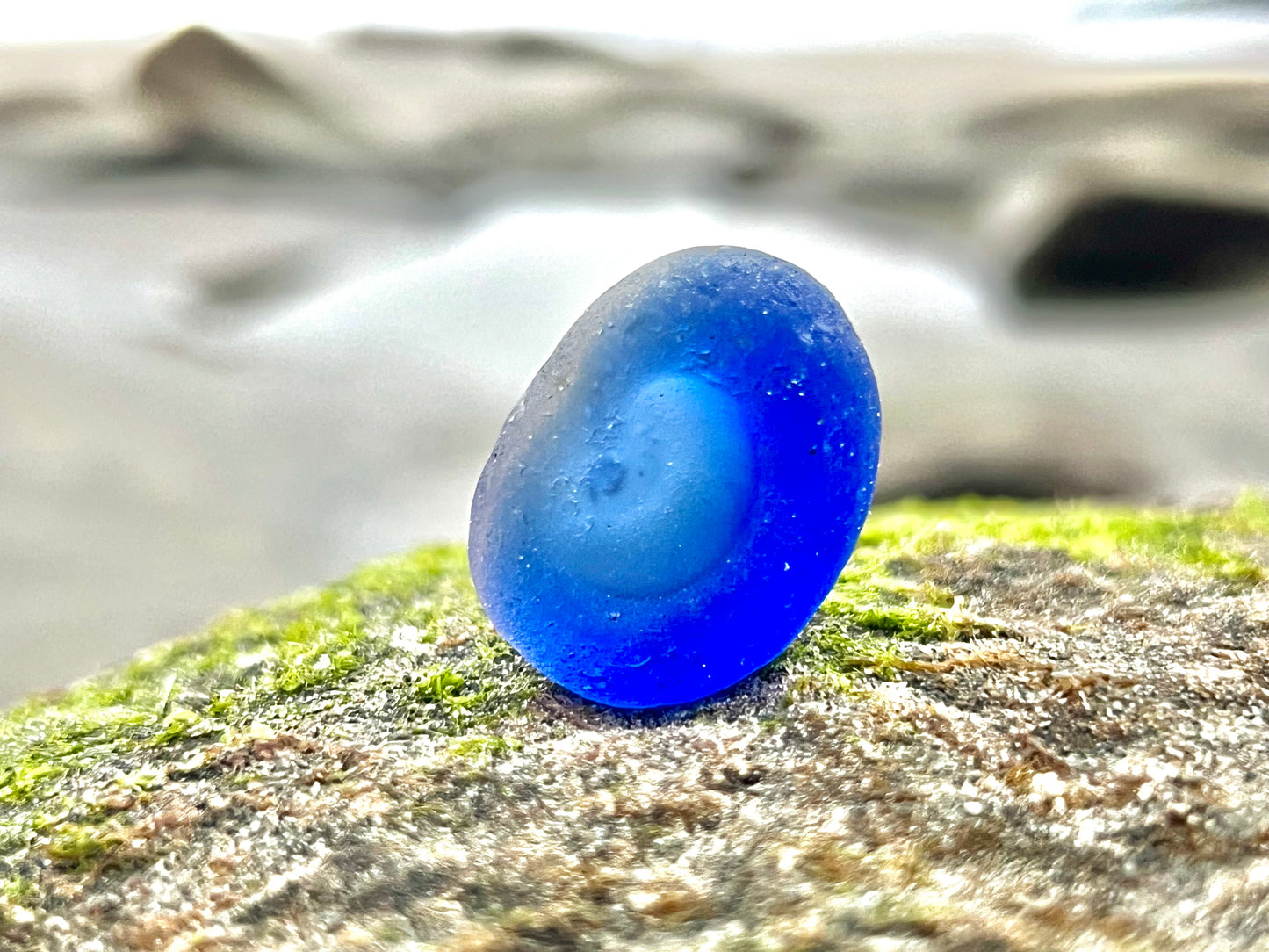 Cobalt Blue Multi- Potential Bottle Bottom