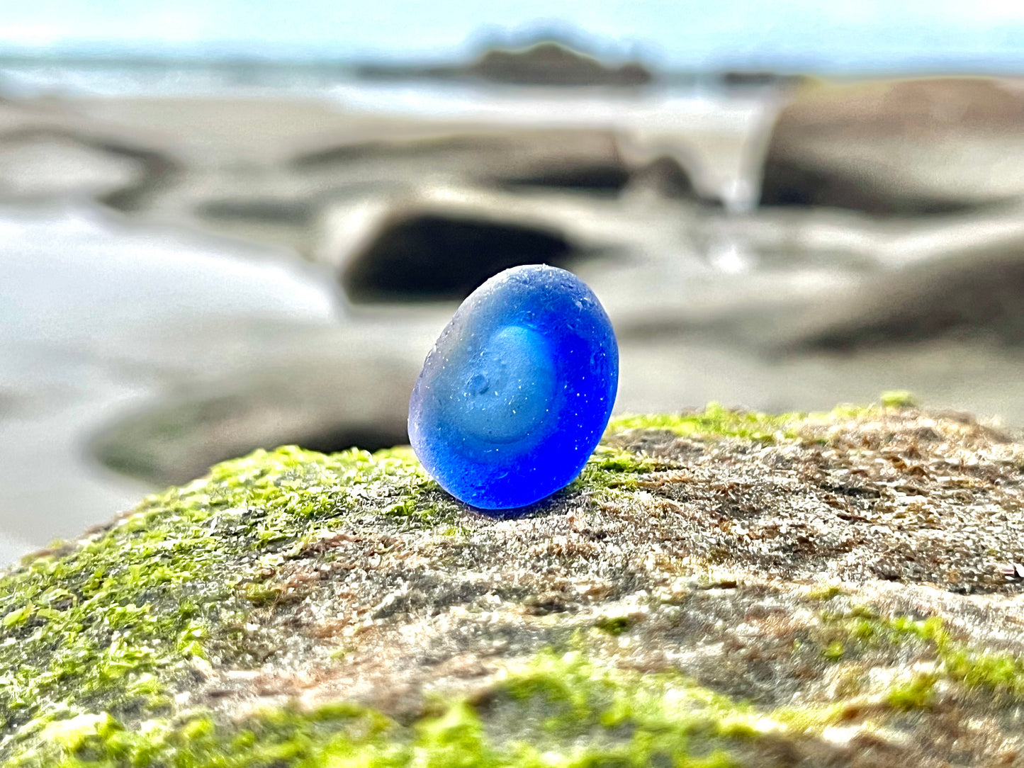 Cobalt Blue Multi- Potential Bottle Bottom