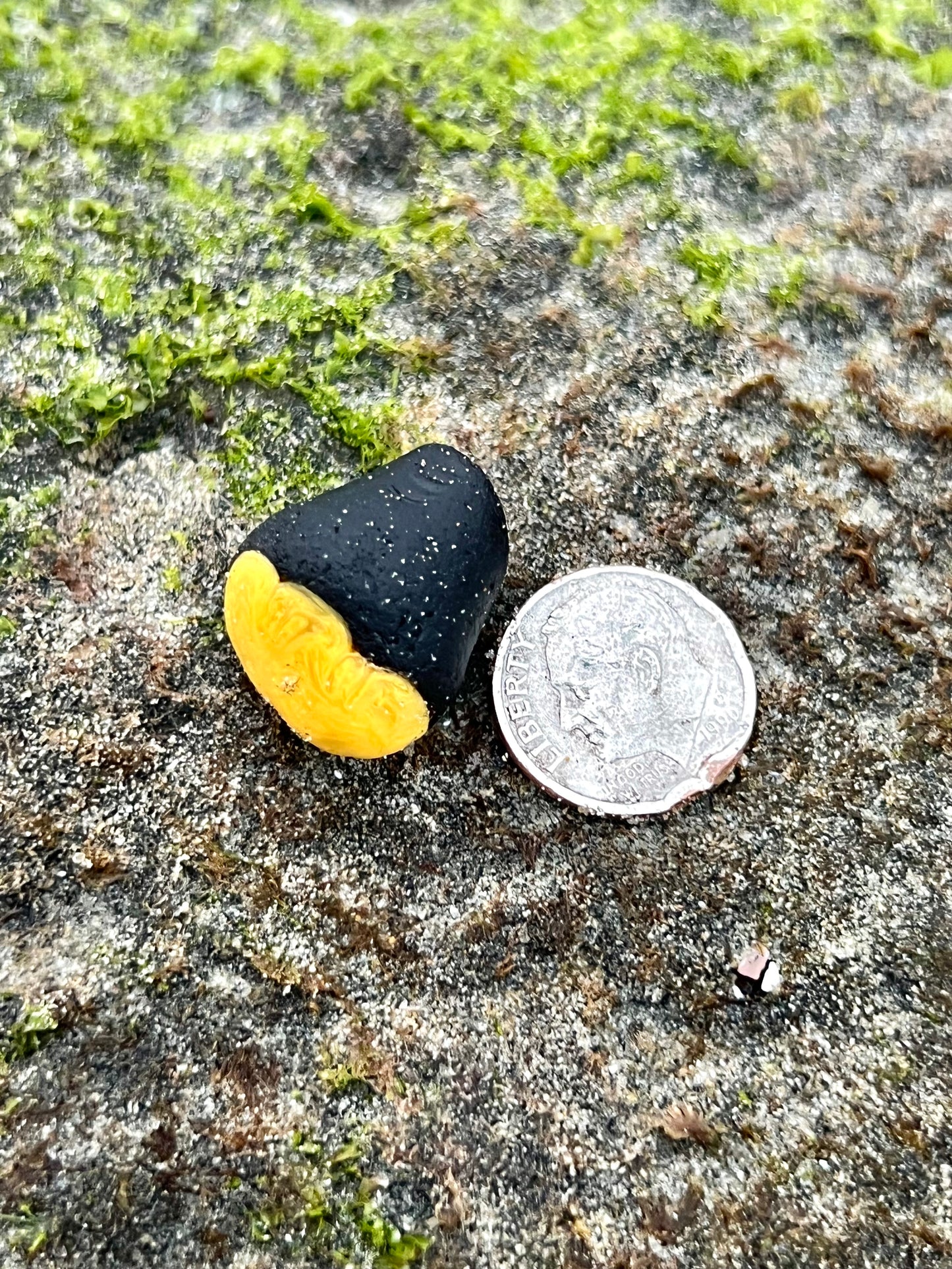 Black and Yellow “Bumblebee” multi