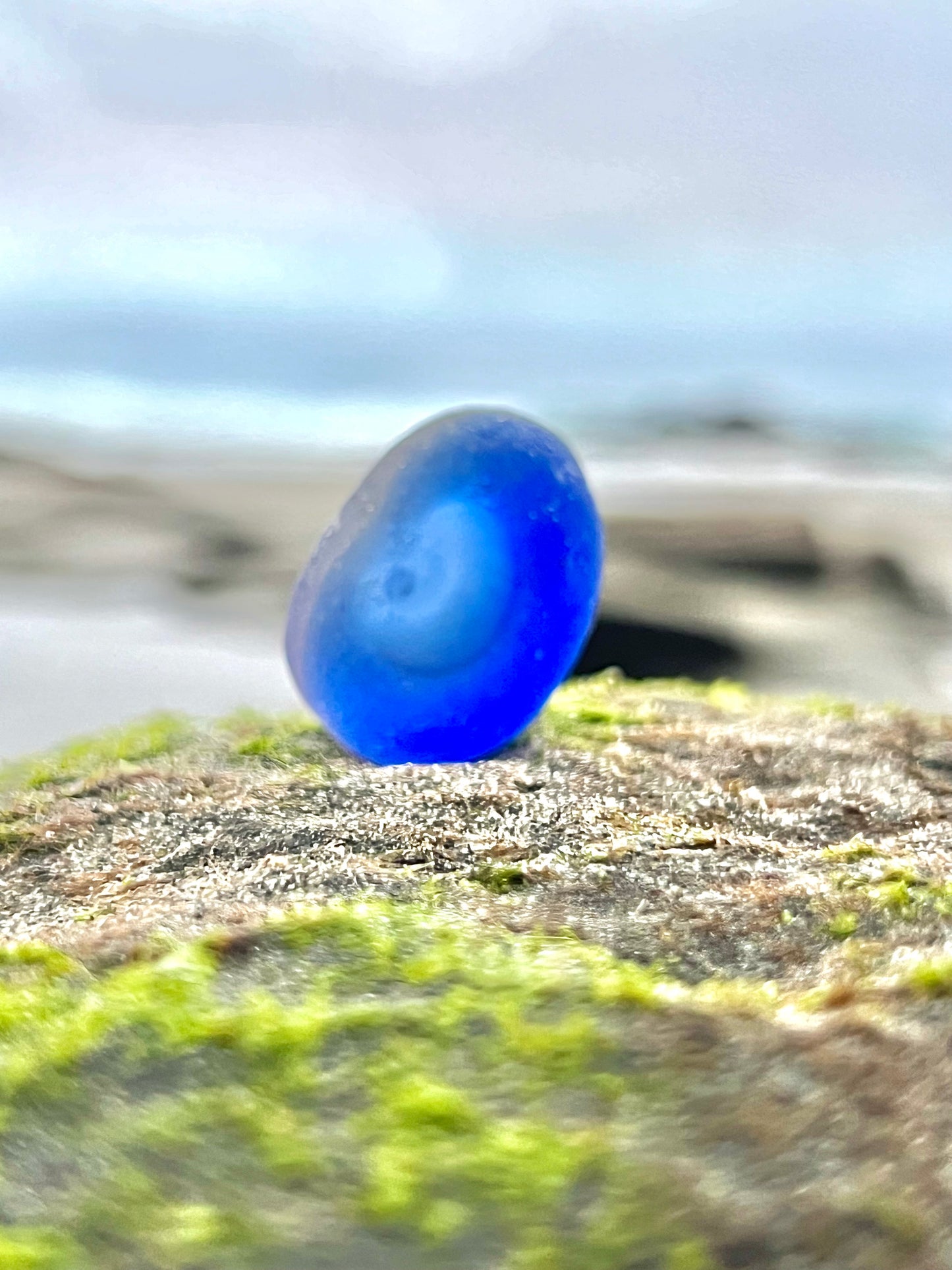 Cobalt Blue Multi- Potential Bottle Bottom