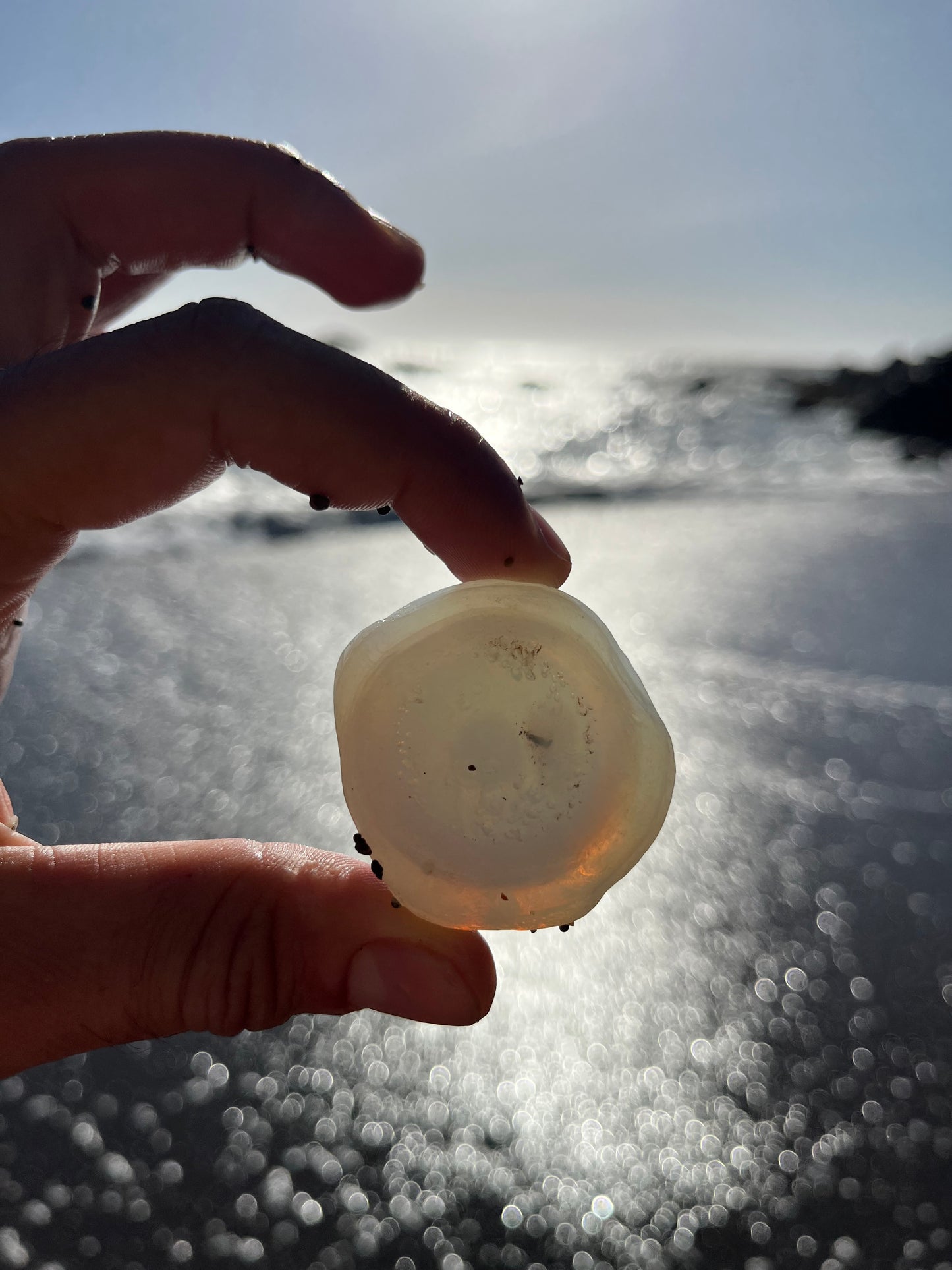 RARE- Opalescent Davenport Eyeball