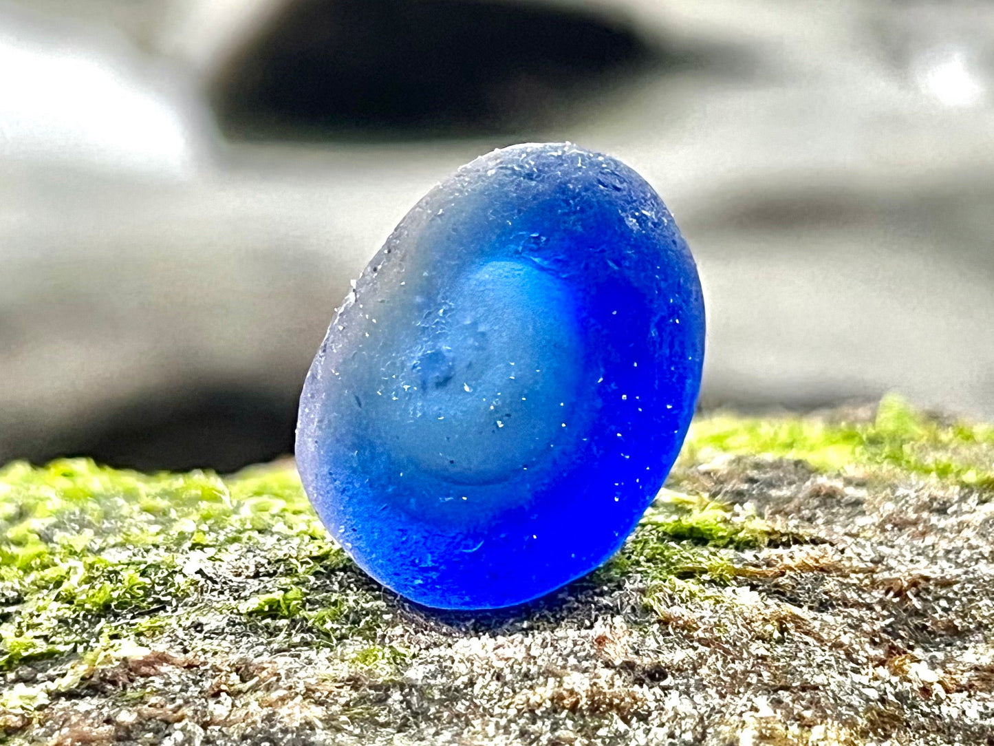 Cobalt Blue Multi- Potential Bottle Bottom