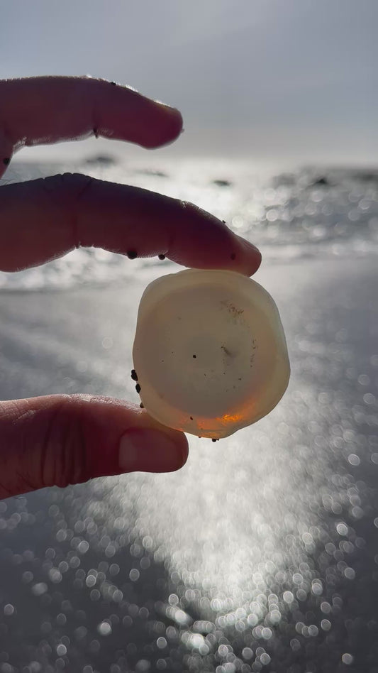 RARE- Opalescent Davenport Eyeball